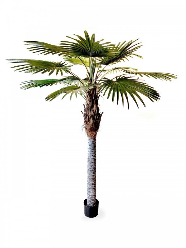 47509N-iskusstvennaya-palma-vashingtoniya-270-cm